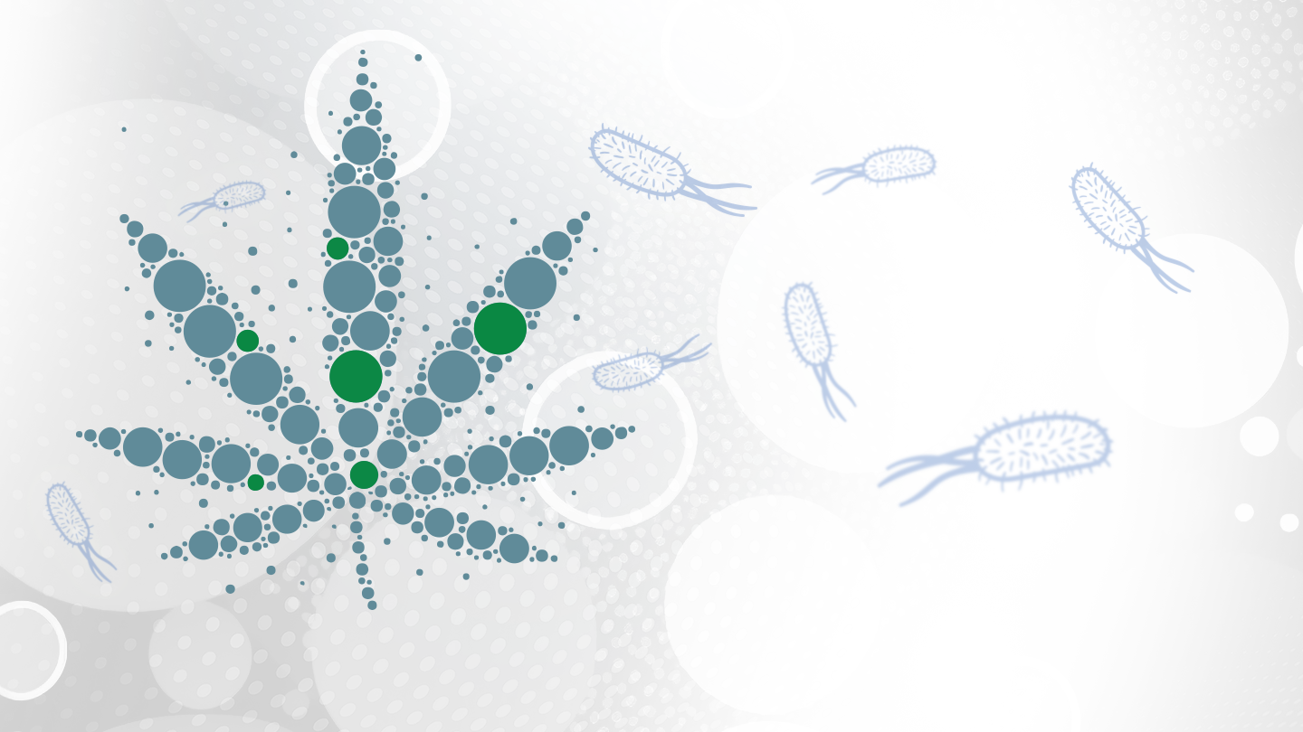 Cannabis Testing
