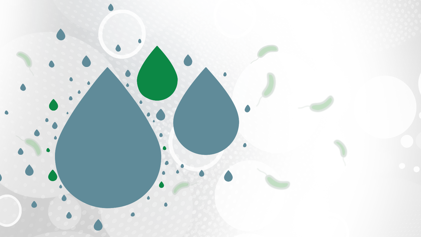 Water Quality Testing