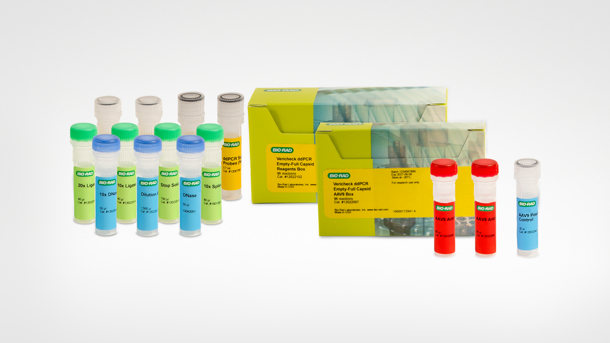 Leading Life Science Research & Clinical Diagnostics | Bio-Rad