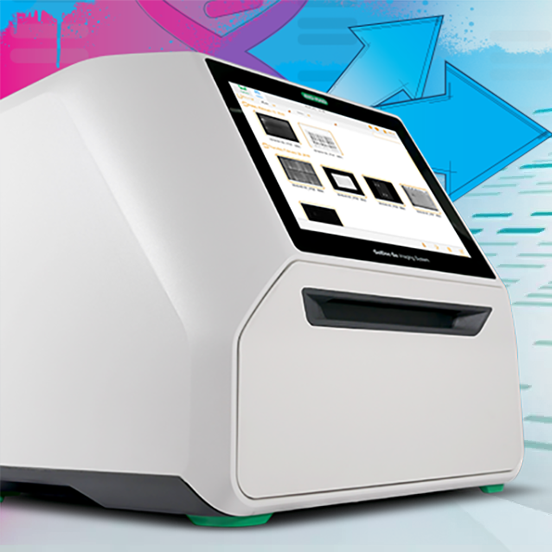 GelDoc Go Imaging System