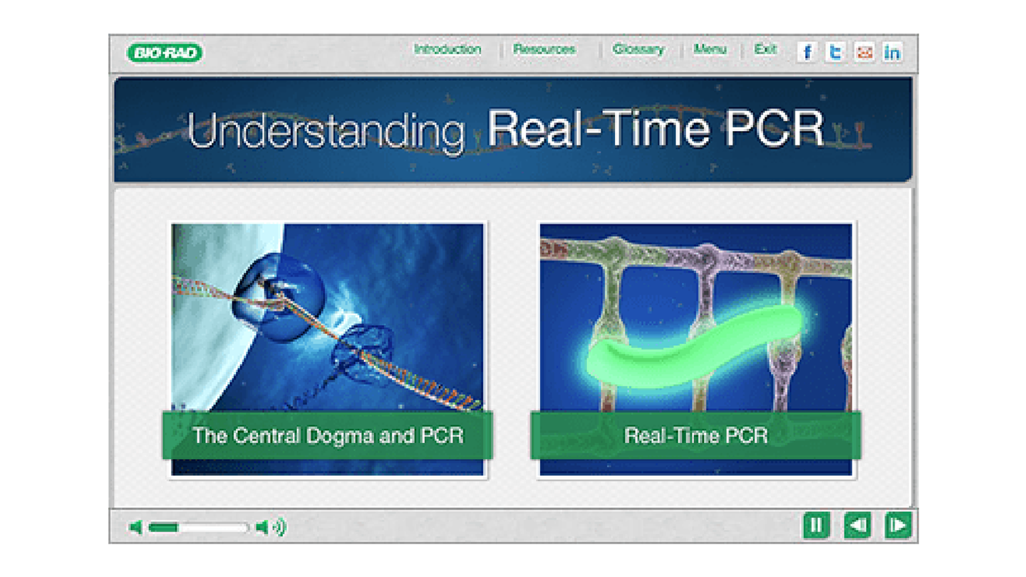 rt-PCR PCR Tutorials
