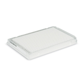 cfx-validation-plate-SKU-184-5099-thumb.jpg