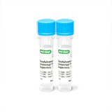ssoadvanced-universal-probes-supermix-172-5280-thumb.jpg