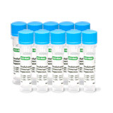 ssoadvanced-universal-probes-supermix-172-5282-thumb.jpg