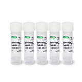 ssoadvanced-universal-probes-supermix-172-5284-thumb.jpg