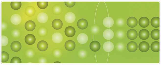 chromatography-feature.jpg