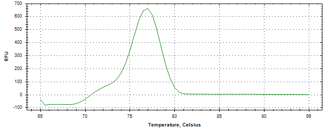 Melt curve analysis of above amplification.