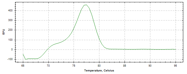 Melt curve analysis of above amplification.