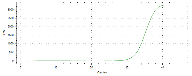 Amplification of cDNA generated from universal RNA.