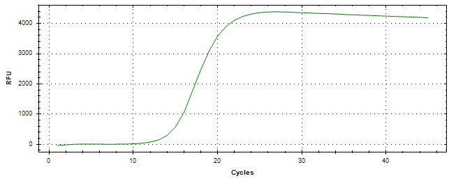 Amplification of cDNA generated from universal RNA.