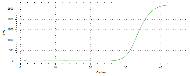 Amplification of cDNA generated from universal RNA.