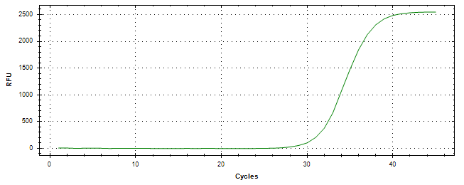 Amplification of cDNA generated from universal RNA.
