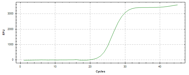 Amplification of cDNA generated from universal RNA.