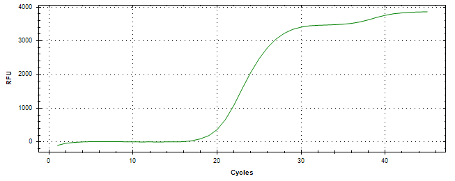 Amplification of cDNA generated from universal RNA.