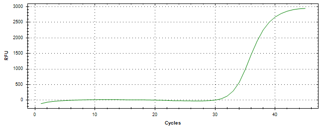 Amplification of cDNA generated from universal RNA.