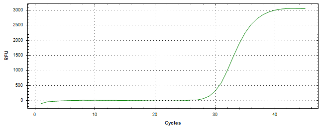 Amplification of cDNA generated from universal RNA.