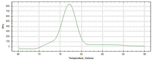 Melt curve analysis of above amplification.