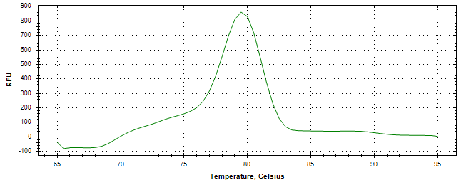 Melt curve analysis of above amplification.