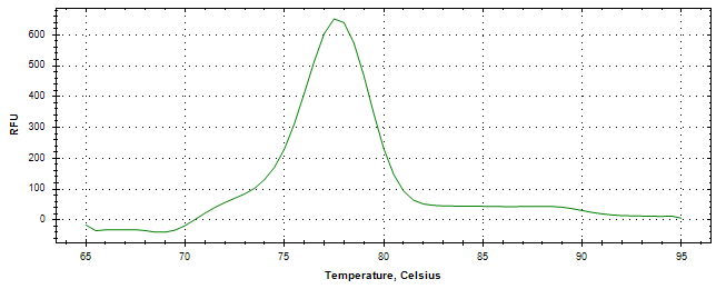 Melt curve analysis of above amplification.