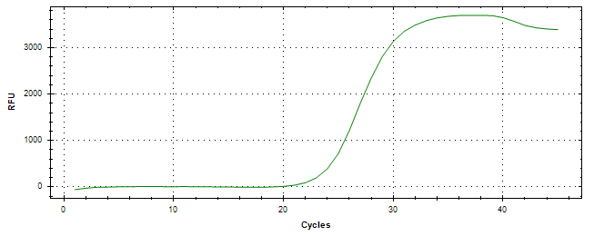 Amplification of cDNA generated from universal RNA.