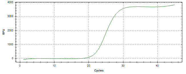 Amplification of cDNA generated from universal RNA.