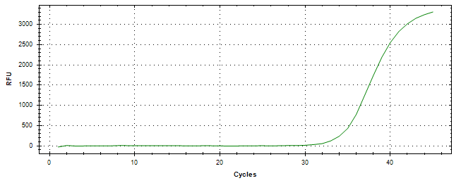 Amplification of cDNA generated from universal RNA.