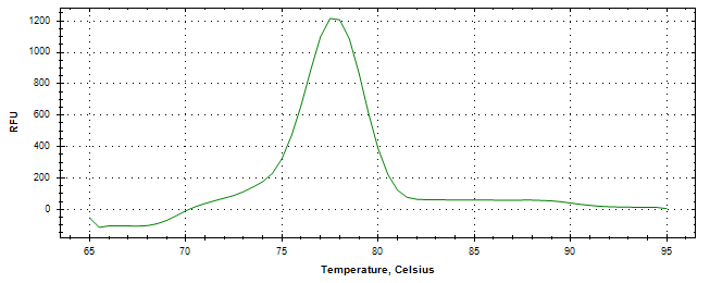 Melt curve analysis of above amplification.