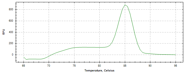 Melt curve analysis of above amplification.