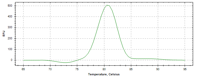 Melt curve analysis of above amplification.