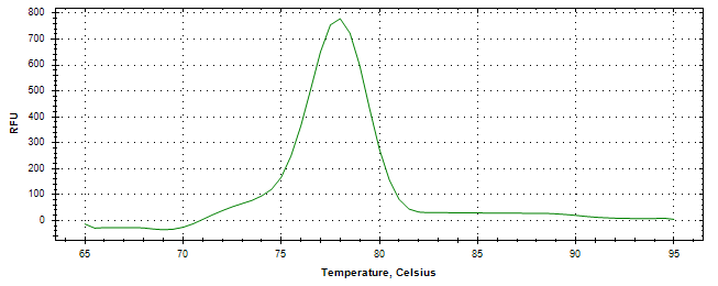 Melt curve analysis of above amplification.