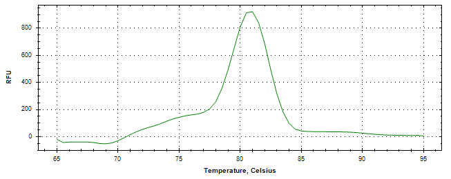 Melt curve analysis of above amplification.