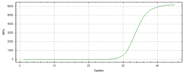 Amplification of cDNA generated from universal RNA.