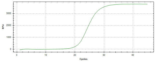 Amplification of cDNA generated from universal RNA.