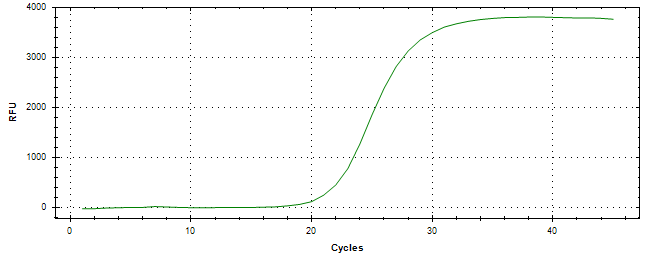 Amplification of cDNA generated from universal RNA.