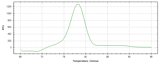 Melt curve analysis of above amplification.