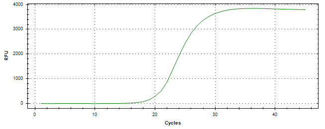 Amplification of cDNA generated from universal RNA.