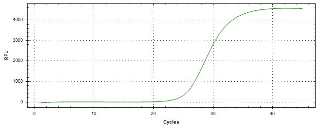 Amplification of cDNA generated from universal RNA.