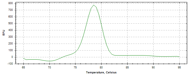 Melt curve analysis of above amplification.
