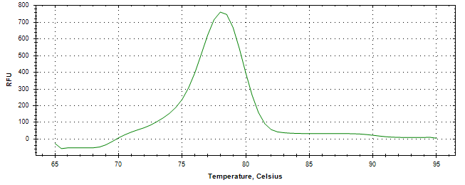 Melt curve analysis of above amplification.