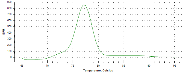 Melt curve analysis of above amplification.