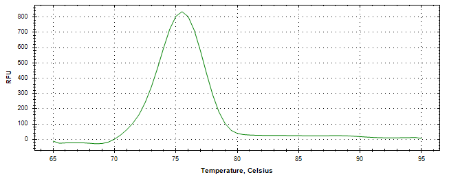 Melt curve analysis of above amplification.