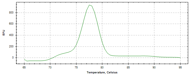 Melt curve analysis of above amplification.