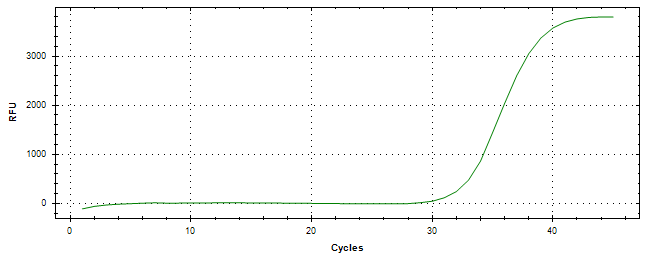 Amplification of cDNA generated from universal RNA.