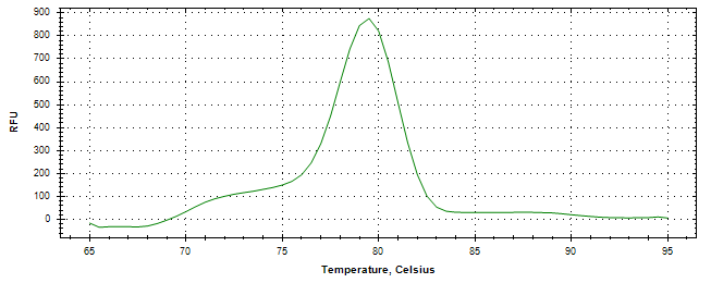 Melt curve analysis of above amplification.