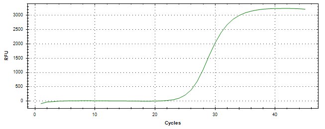 Amplification of cDNA generated from universal RNA.