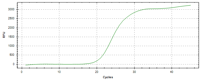 Amplification of cDNA generated from universal RNA.