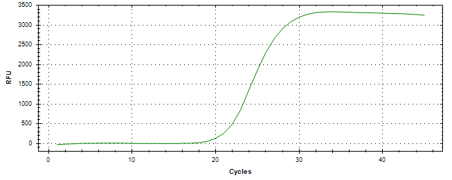 Amplification of cDNA generated from universal RNA.