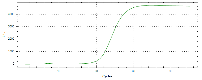 Amplification of cDNA generated from universal RNA.