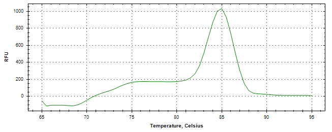 Melt curve analysis of above amplification.