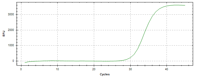 Amplification of cDNA generated from universal RNA.